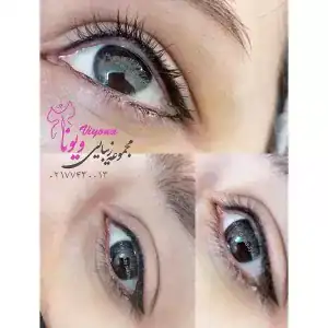 آکادمی ویونا