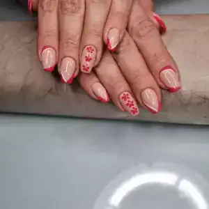 آکادمی ملیحه — نمونه 5