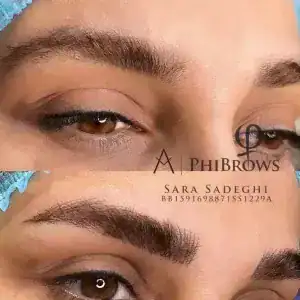 نمونه‌کارها سارا صادقی، تصویر 5