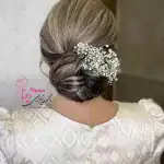 آکادمی ویونا