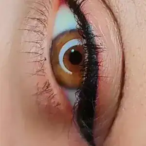 سالن سمیه بابازاده — نمونه 2