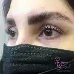آکادمی ویونا