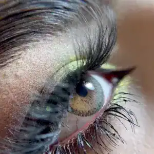 نمونه‌کارها سالن سما نتاج، تصویر 2
