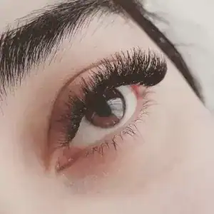 نمونه‌کارها سالن شکوفه برفی، تصویر 4