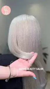نمونه‌کارها سالن شمس، تصویر 1