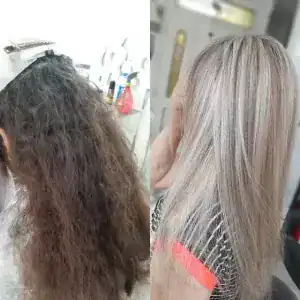 سالن چیستا — نمونه 1