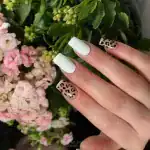 آکادمی عسل نجفی