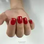 آکادمی عسل نجفی