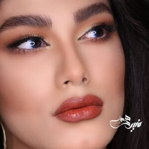 آکادمی چهره آرایان — نمونه 4