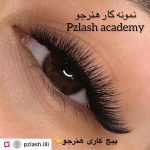 آکادمی پریسا زالیزاده
