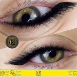 آکادمی پریسا زالیزاده