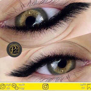 آکادمی پریسا زالیزاده — نمونه 6