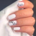 سالن الپیدا