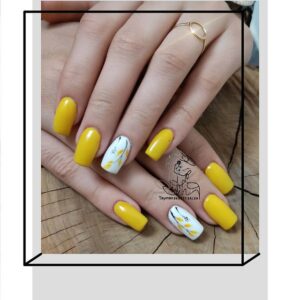نمونه‌کارها سالن تایماز، تصویر 4
