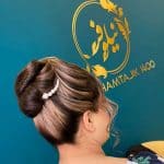 آکادمی نیلوفر