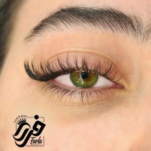 نمونه‌کارها سالن فرلابیوتی، تصویر 4