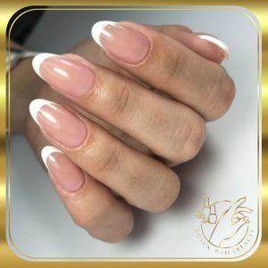 سالن روشا — نمونه 1