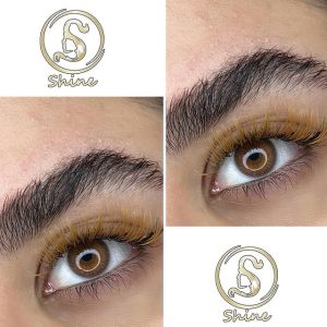 سالن شاین — نمونه 1