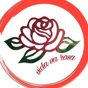 سالن‌های زیبایی ویدا و رزا