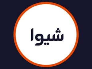 آرایشگاه شیوا