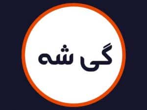 آرایشگاه گی شه