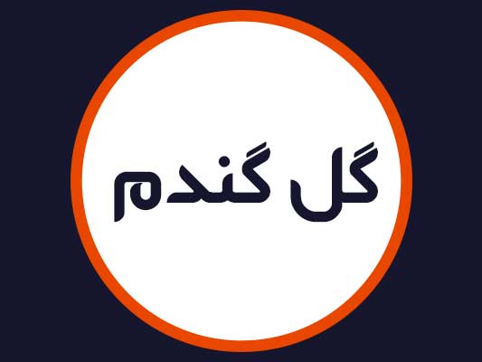 سالن زیبایی گل گندم