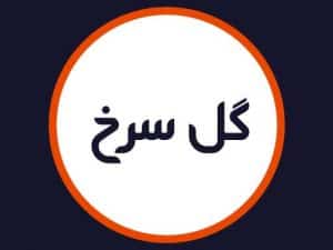 آرایشگاه گل سرخ