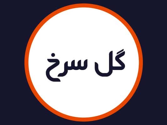 آرایشگاه گل سرخ