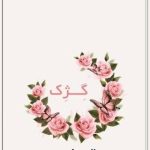 آرایشگاه گژک