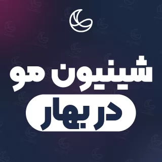 بهترین شینیون مو در بهار و اطراف | ۲۷ متخصص مو با قیمت و نمونه‌کار