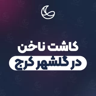 بهترین کاشت ناخن در گلشهر کرج | ۲۵ متخصص ناخن با آدرس و شماره تماس