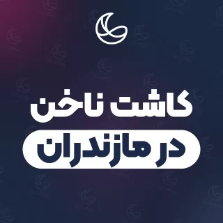 بهترین کاشت ناخن در مازندران | ۱۱۱ مرکز ناخن با تلفن و آدرس دقیق