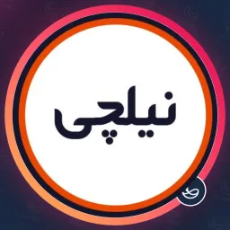 سالن زیبایی نیلچی | شینیون مو در آرژانتین