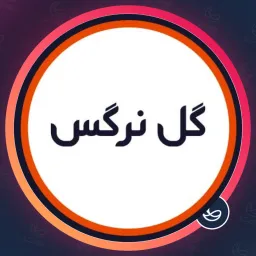 سالن گل نرگس | پدیکور ناخن در چیتگر