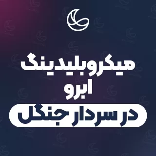 بهترین میکروبلیدینگ ابرو در سردار جنگل و اطراف | ۱۹ متخصص ابرو با آدرس و شماره تماس