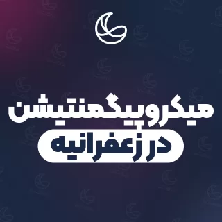 بهترین میکروپیگمنتیشن در زعفرانیه | ۵۶ متخصص ابرو با قیمت و نمونه‌کار